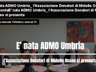 Nasce ADMO Umbria: Nuova Speranza per i Donatori di Midollo Osseo