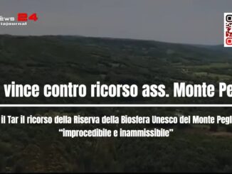 Afor vince contro il ricorso dell'associazione Monte Peglia