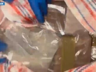 Arrestato a Milano imprenditore con 146 chili di hashish