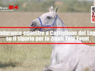 A Castiglione del Lago lo Zigulí Test Event apre le porte all'endurance equestre