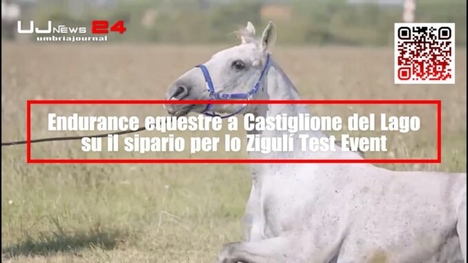 A Castiglione del Lago lo Zigulí Test Event apre le porte all'endurance equestre