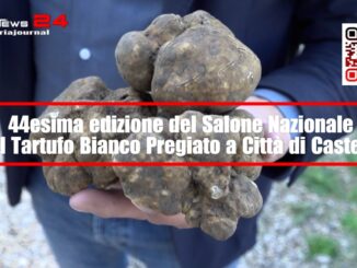 La città del tartufo. Da venerdì 1 a domenica 3 Novembre il Salone Nazionale del Tartufo Bianco
