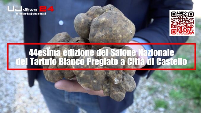 La città del tartufo. Da venerdì 1 a domenica 3 Novembre il Salone Nazionale del Tartufo Bianco
