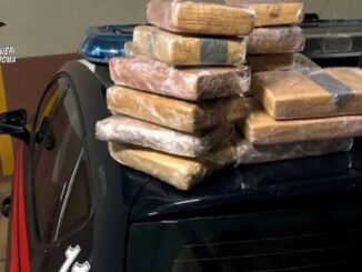 Maxi operazione antidroga dei carabinieri di a Ostia: 20 arresti