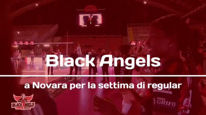Black Angels affrontano la Igor Gorgonzola a Novara