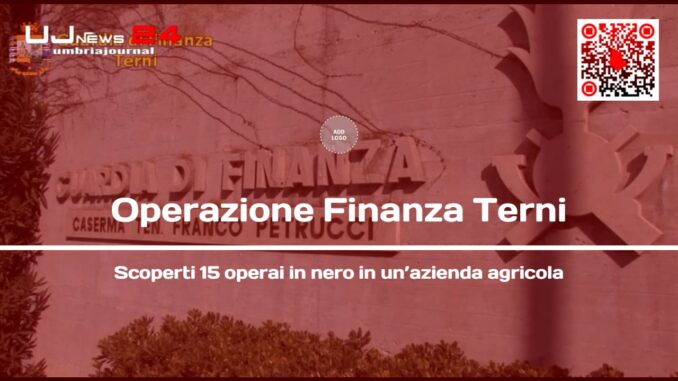 Operazione Finanza Terni, scoperti 15 operai in nero in un’azienda agricola
