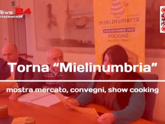 Mielinumbria: a Foligno la rassegna del miele e delle api