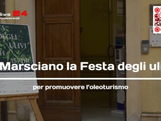 A Marsciano la Festa degli ulivi per promuovere l’oleoturismo