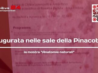 La mostra “Anatomie naturali” esplora il legame tra arte e ambiente