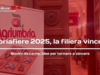 Agriumbria 2025 parte dall'Università. Il 18 febbraio il convegno dedicato ai bovini da carne presso il Dsa3 di Perugia