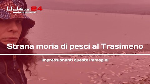 Strana moria di pesci al Lago Trasimeno, impressionanti queste foto