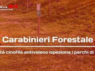 Terni, unità cinofila antiveleno dei Carabinieri nei parchi