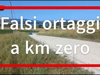 Falsi ortaggi a km zero, scoperta frode in Umbria