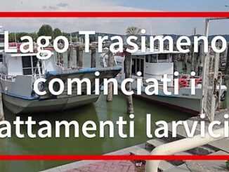 Trasimeno, iniziati i trattamenti larvicidi anti zanzare