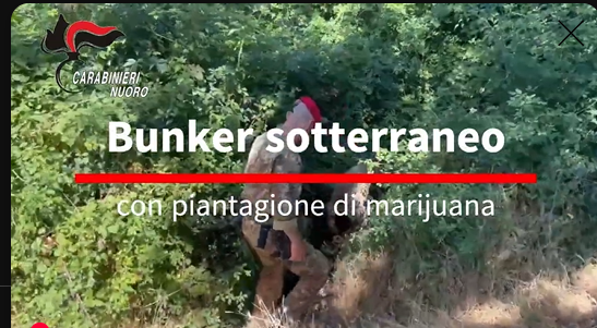 Bunker sotterraneo con piantagione di marijuana: due arresti a Gavoi