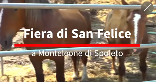 Monteleone Rilancia l'Anima Agricola con la Fiera di San Felice