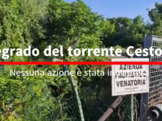 Allarme sul Cestola, rischio idraulico senza risposte