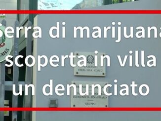 Serra di marijuana scoperta in villa, un denunciato