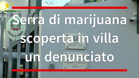 Serra di marijuana scoperta in villa, un denunciato