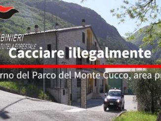 Cacciatore di frodo sorpreso su quad, multe e ritiro armi