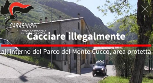 Cacciatore di frodo sorpreso su quad, multe e ritiro armi