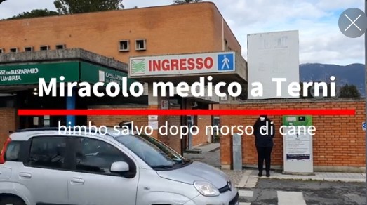 Miracolo medico a Terni: bimbo salvo dopo morso di cane