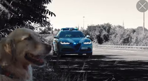 Estate in sicurezza, la Polizia di Stato al fianco dei cittadini in viaggio