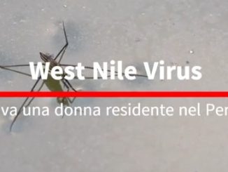 West Nile Virus a Perugia, coinvolta una farmacista, la sua preparazione ha evitato il peggio