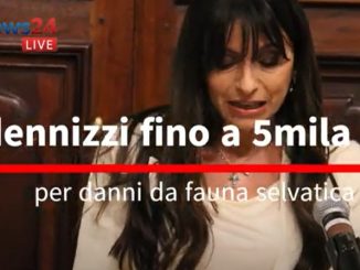 Seleziona Fauna selvatica, nuove regole e fondi per gli indennizzi Fauna selvatica, nuove regole e fondi per gli indennizzi