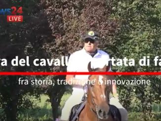Mostra del Cavallo di Città di Castello tra storia e futuro