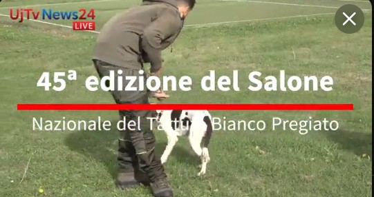 Tutti a caccia del tartufo a Città di Castello