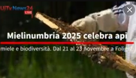 Mielinumbria 2025, Foligno celebra api e biodiversità mediterranea