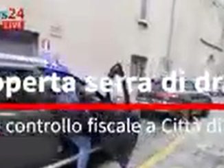 Finanza scopre serra marijuana durante verifica fiscale a Castello