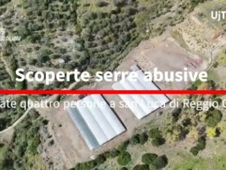 Carabinieri smantellano serre abusive e furto d’acqua