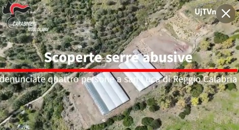Carabinieri smantellano serre abusive e furto d’acqua