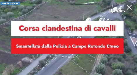 Droni individuano corsa clandestina di cavalli dentro Catania