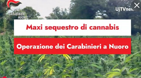 Maxi sequestro di cannabis, operazione dei Carabinieri a Nuoro